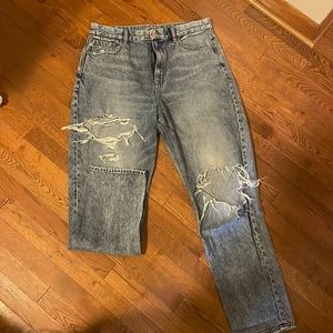 American Eagle Curvy Mom Jean